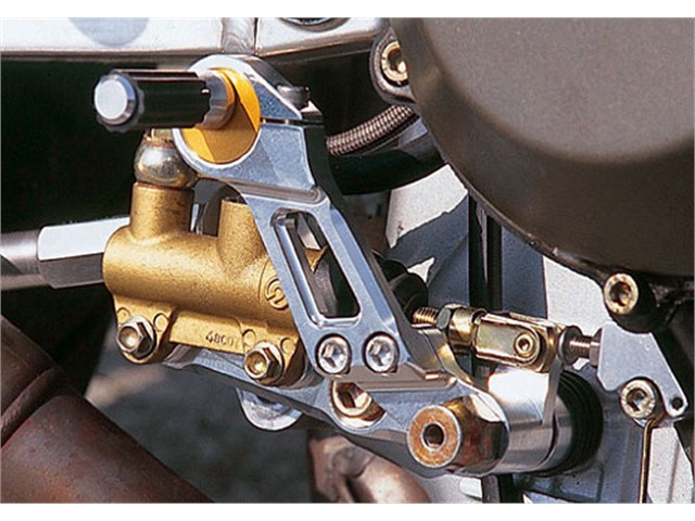アグラス エキセントリックペダル DUCATI (312-550-002)｜MOTO-OCC 店