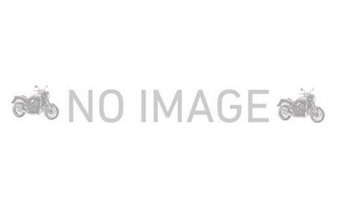 アグラス アルミスイングアーム 6cmロング マルパイプ／RSプーラー MONKEY (315-100-206)