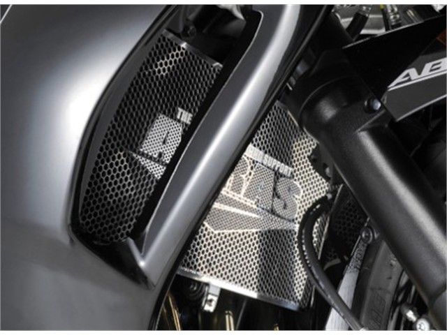 アグラス コアガード Bタイプ／ロゴ無し BANDIT1250F (309-397-B00)