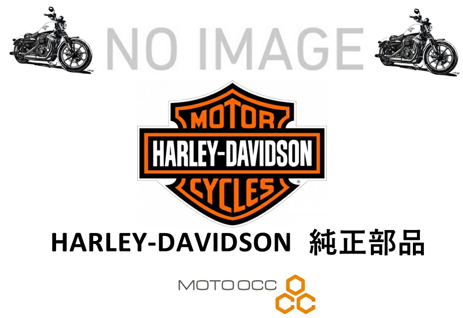 【抽選で最大100％ポイントバック】HARLEY-DAVIDSON ハーレーダビッドソン純正部品 FLD DYNA 103 SWITCHBACK 13 (GZM) RETAINING RING 65325-83A 65325-83A画像