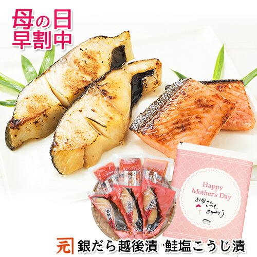 母の日＼早割10％OFFクーポン対象／ 銀だら越後漬・鮭塩こうじ漬 詰合せ 送料無料 ギフト
