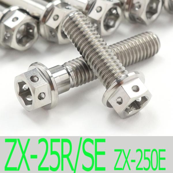▽Ninja ZX-25R/SE ZX250E チタンボルトセット オールエンジンカバー レーススペックタイプ シルバー/26本set (KA2003FSSI)|モトボックス 店
