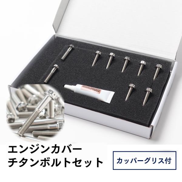 ▽TT250R/レイド 4GY チタンボルトセット オールエンジンカバー レーススペックタイプ シルバー/27本set (YA2003FSSI)｜モトボックス 店