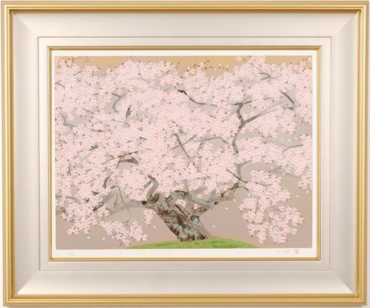 中島千波 淡墨桜 掛軸