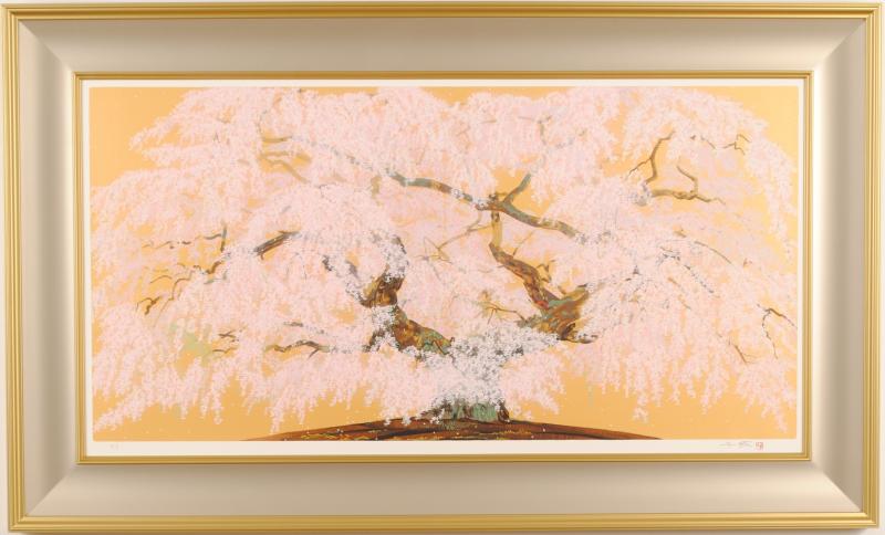 楽天市場】中島千波 淡墨桜 桜 絵画 和風 岐阜県本巣市根尾 日本