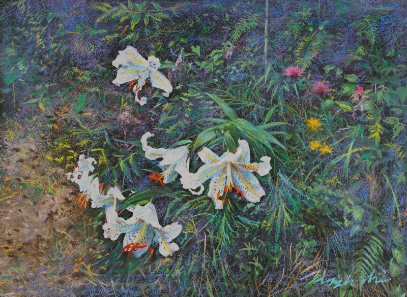 楽天市場】百合 絵画 花 油絵 油彩画 小室浩 「箱根百合」 額付き 国内