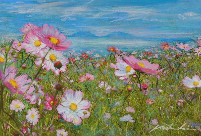 楽天市場】コスモス 絵画 花 油絵 田中清 「水辺のコスモス」 額