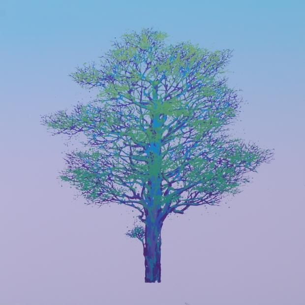 【作家名】池上壮豊 【作品名】樹-9 木 絵画 樹 絵 版画 シルクスクリーン 額付き 国内送料無料|アートギャラリーモトカワ