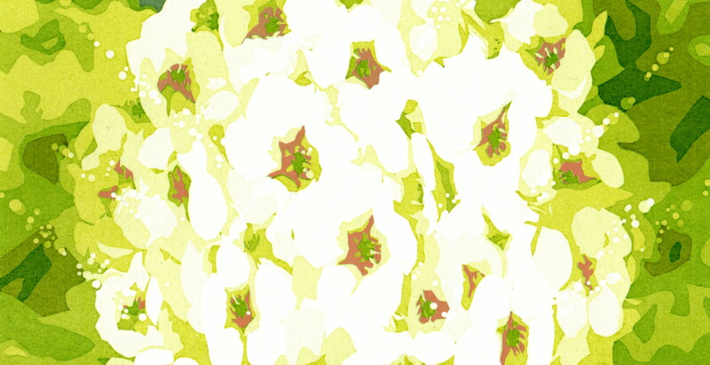 【美品】Harbage B-2-　吉村明子　シルクスクリーン版画 yosimura-24-4.jpg