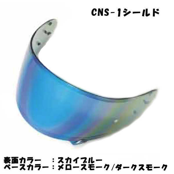 cns-1-sbl.jpg
