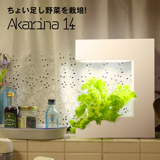 楽天市場】水耕栽培キット Akarina05ブルー/灯菜 室内栽培 プランター