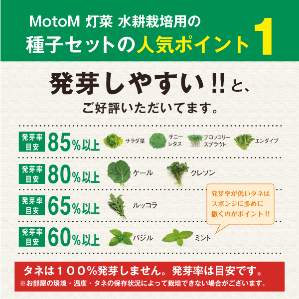 楽天市場 ケール水耕栽培用種子セット タネ スポンジ 液体肥料 Mas11 野菜の種 モトム 灯菜 灯り工房 Motom モトム