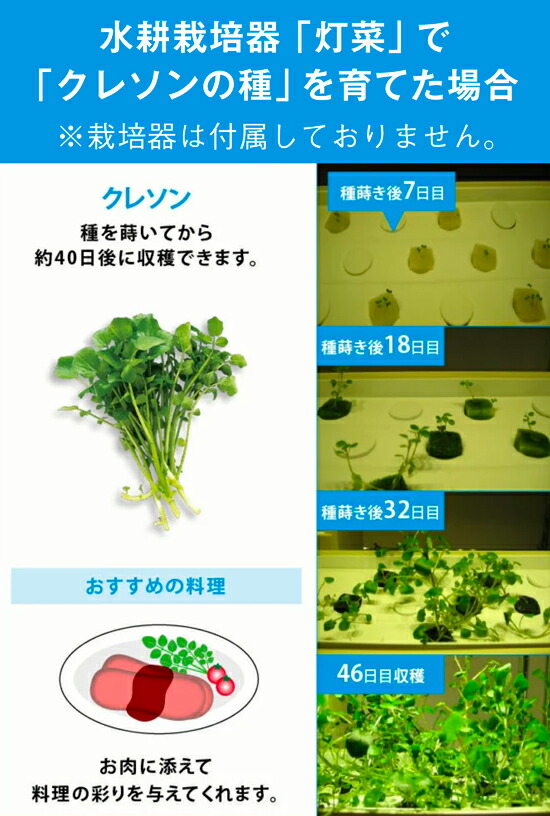楽天市場 ポイント5倍 5 16 日 01 59まで クレソン 水耕栽培用 タネセット ハーブの種 野菜の種 Mas07クレソン種約50粒 液体肥料50ml スポンジ30個 ハーブの種子 野菜種子 定型郵便可能 モトム 灯菜 Akarina 灯り工房 Motom モトム