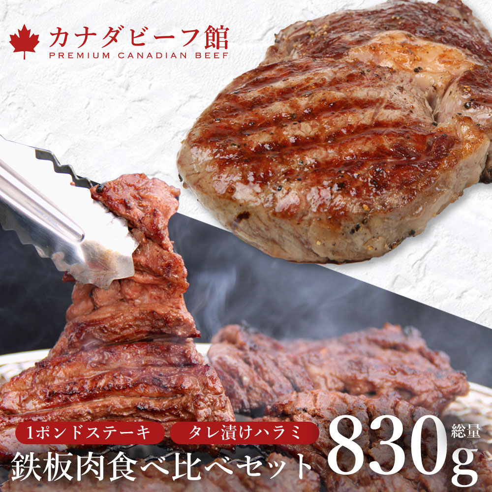 1ポンドステーキ＆タレ漬けはらみ380g