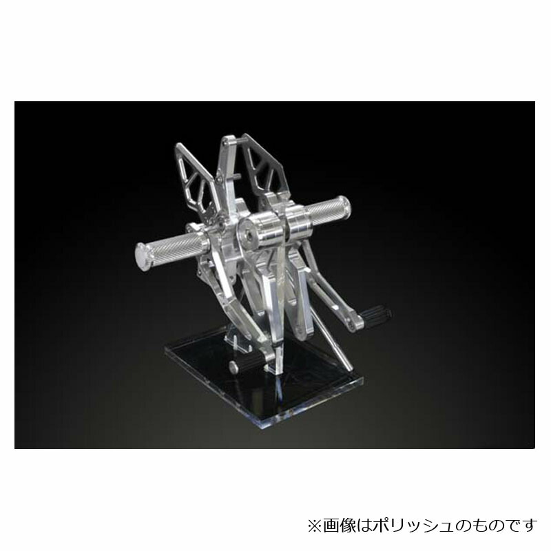 アエラ(AELLA) ライディングステップキット ホワイト モンスター696 10-