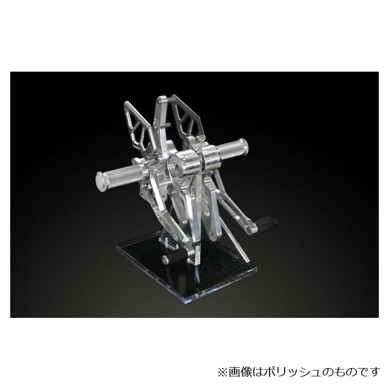 アエラ(AELLA) ライディングステップキット ポリッシュ モンスター696 10-｜モトパーツ　店