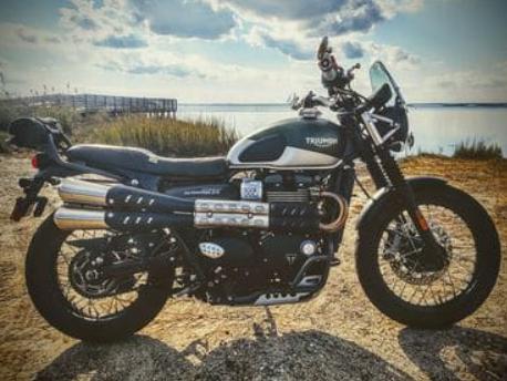 楽天市場】JPビンテージ（JP Vintage） スクランブラー ブラッド