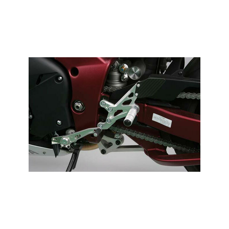 スパイス(SPICE) タクティカルステップ シルバー YZF-R1 09-14|モトパーツ 店