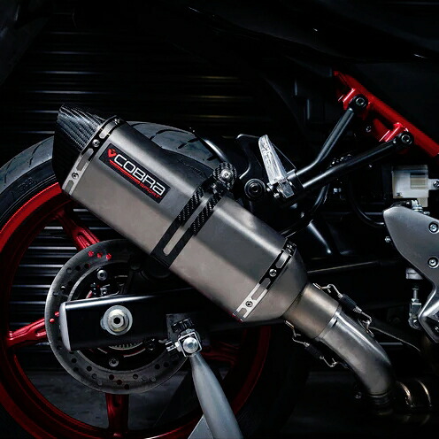 スズキ SV650 2016- スリップオンマフラー チタン \