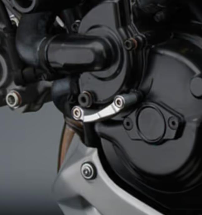 DUCATI ハイパーモタード821 ウォーターポンプガード リゾマ