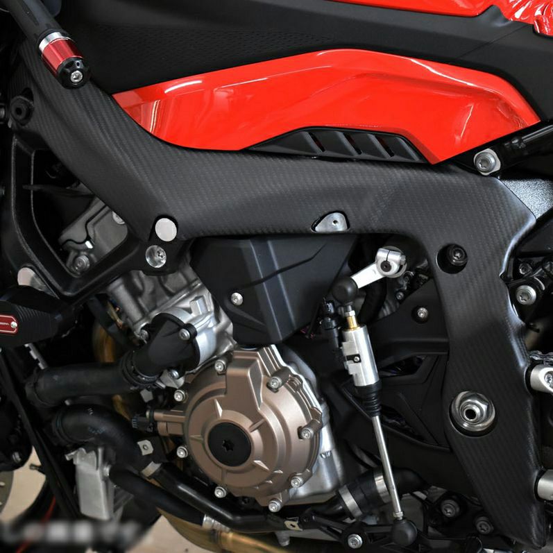 BMW S1000RR フレームカバー 左右セット ドライカーボン SPEEDRA 31,532円