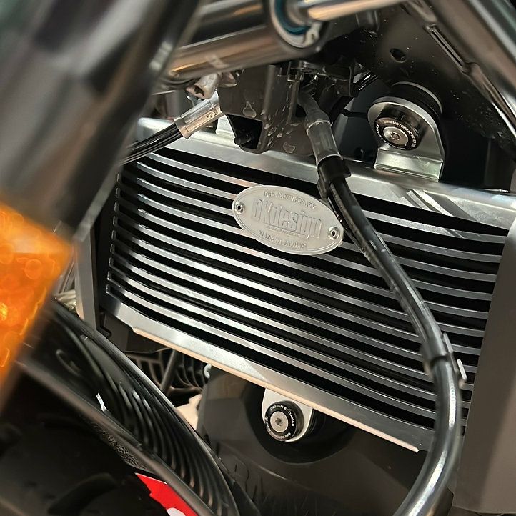 BMW R12/R12nineT ラジエーターガード シルバー \