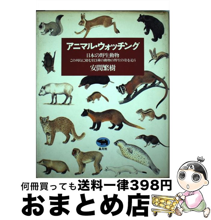 中古 アニマル ウォッチング 日本の野生動物 安間 繁樹 晶文社 単行本 宅配便出荷 Marcsdesign Com