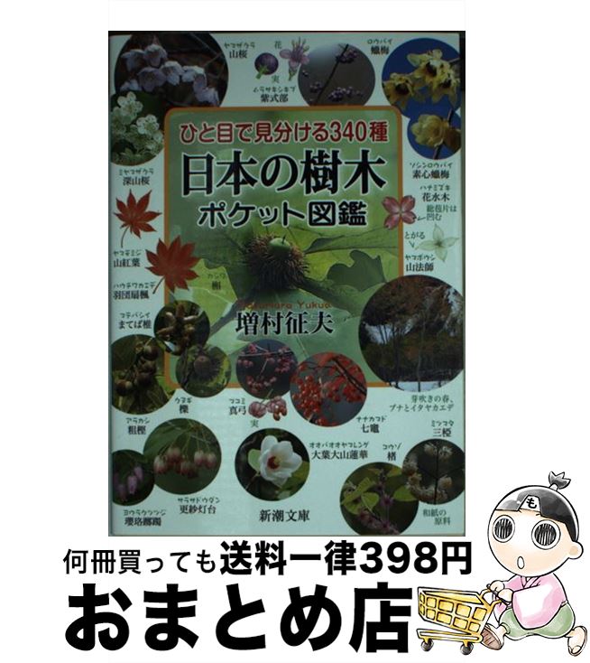楽天市場】【中古】 さし木のすべて / 町田 英夫 / 誠文堂新光社