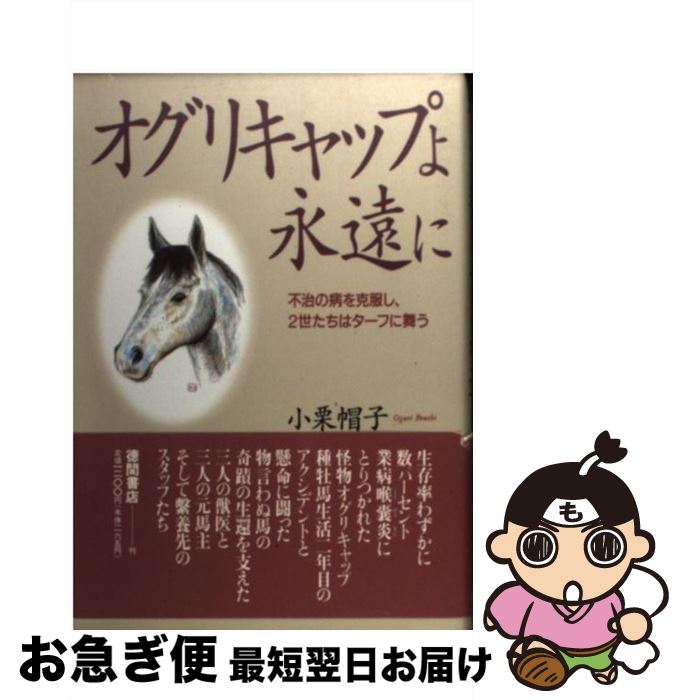 【中古】 競馬収益王の的中表（オッズフェンス） ８年連続１０００万円を稼ぎ出した知恵と秘密/青春出版社/大友武 競馬収益王の的中表: 8年連続1000万円を稼ぎ出した知恵と秘密