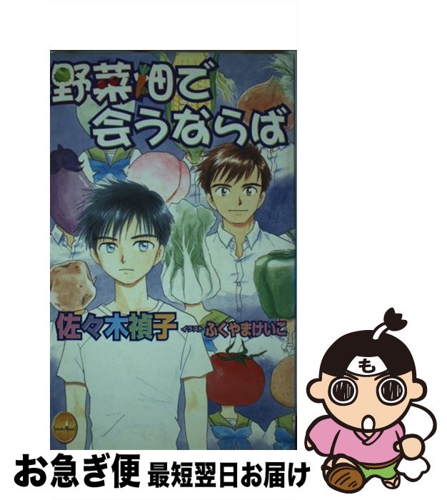 人気定番 聖 竹本 ｈｅａｒｔ ｂｏｏｋ ｂｏｘ セット 中古 単行本 メール便送料無料 あす楽対応 ぶんか社 人文 地歴 哲学 社会 4821108984 Www Dpmptsp Sidoarjokab Go Id