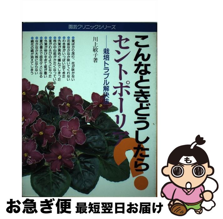 中古 セントポーリア こんなときどうしたら 栽培トラブル解決法 川上 敏子 角川 主婦の友 単行本 ネコポス発送 Ice Org Br