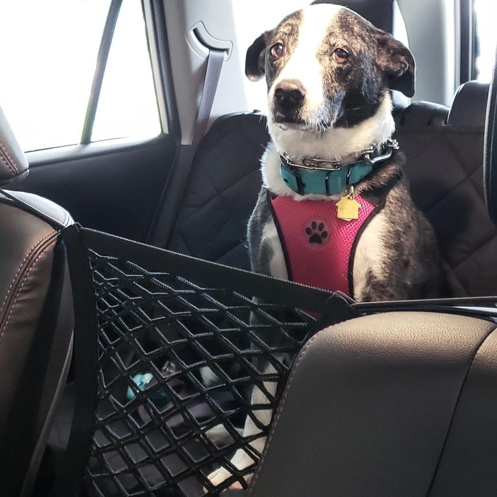 送料無料 ペットゲート 移動防止 ペットガード 猫 ペット 犬 安全対策 事故防止 ネット