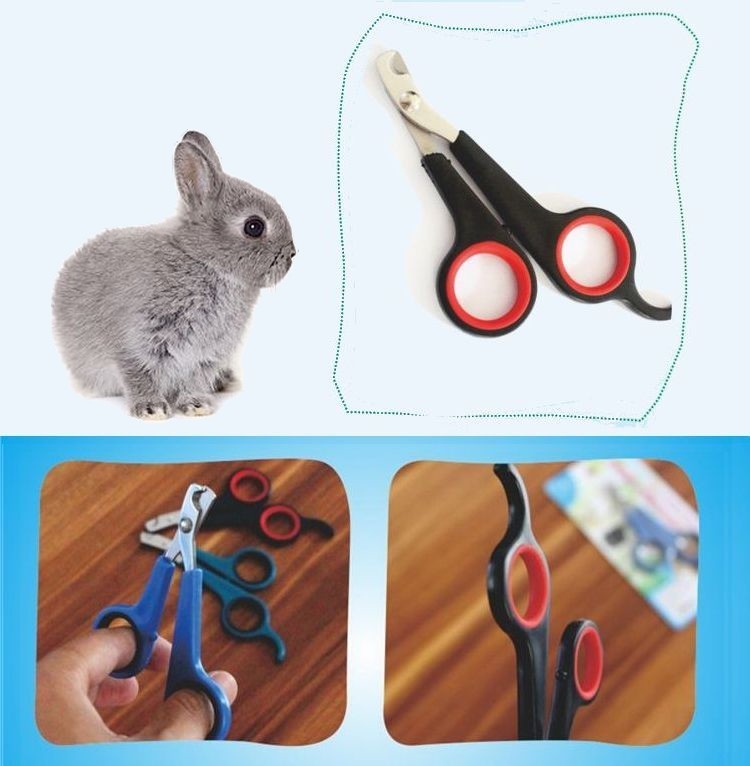 送料無料小動物用カーブ型爪切りネイルニッパー爪のケアペット用品お手入れグッズつめきり爪きりツメ切りウサギモルモットチンチラフェレット鳥