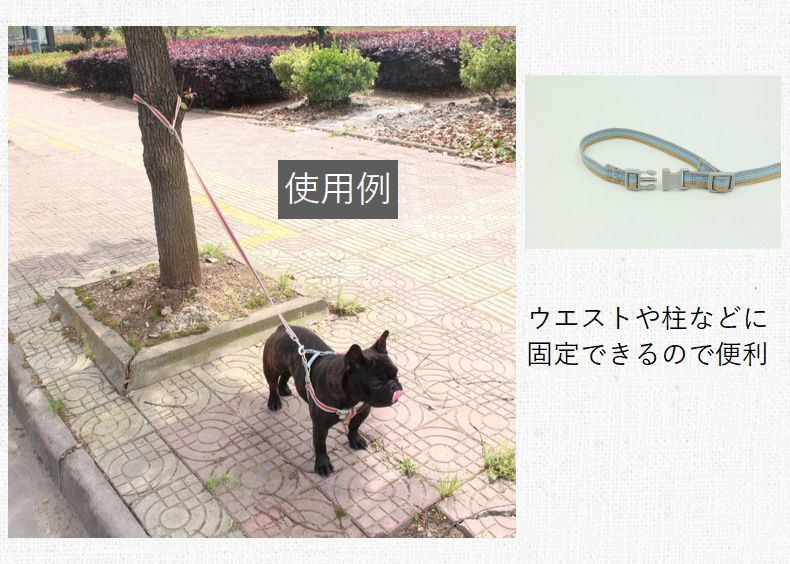 84％以上節約 送料無料 ハーネスリード 2点セット 胴輪 散歩紐 犬用 ペットグッズ サイズ調節可能 簡単着脱 ワンタッチ ストライプ 光る  夜光素材 シンプル カジュアル おしゃれ かわいい お出かけ お散歩 外出 公園 ペット用品 小型犬 中型犬  www.egydiodossantos.com.br