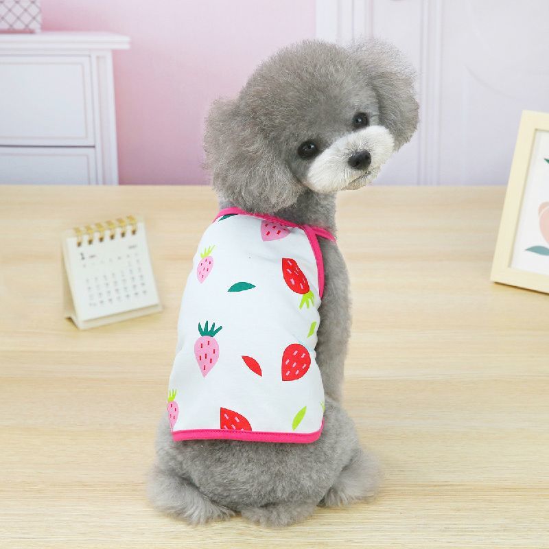 人気ブランド新作豊富 送料無料 ペットウェア キャミソール ドッグ 犬服 フルーツ アボカド オレンジ スイカ レモン イチゴ 春 夏 ドッグウェア かわいい おしゃれ 小型犬 中型犬 猫 カジュアル お散歩 お出かけ ギフト プレゼント 贈り物 Xs S M L Xl 2x 人気ブランド新作豊富 送料無料 ペットウェア キャミソール ドッグ 犬服 フルーツ アボカド オレンジ スイカ レモン イチゴ 春 夏 ドッグウェア かわいい おしゃれ 小型犬 中型犬 猫 カジュアル お散歩 お出かけ ギフト プレゼント 贈り物 Xs S M L Xl 2x