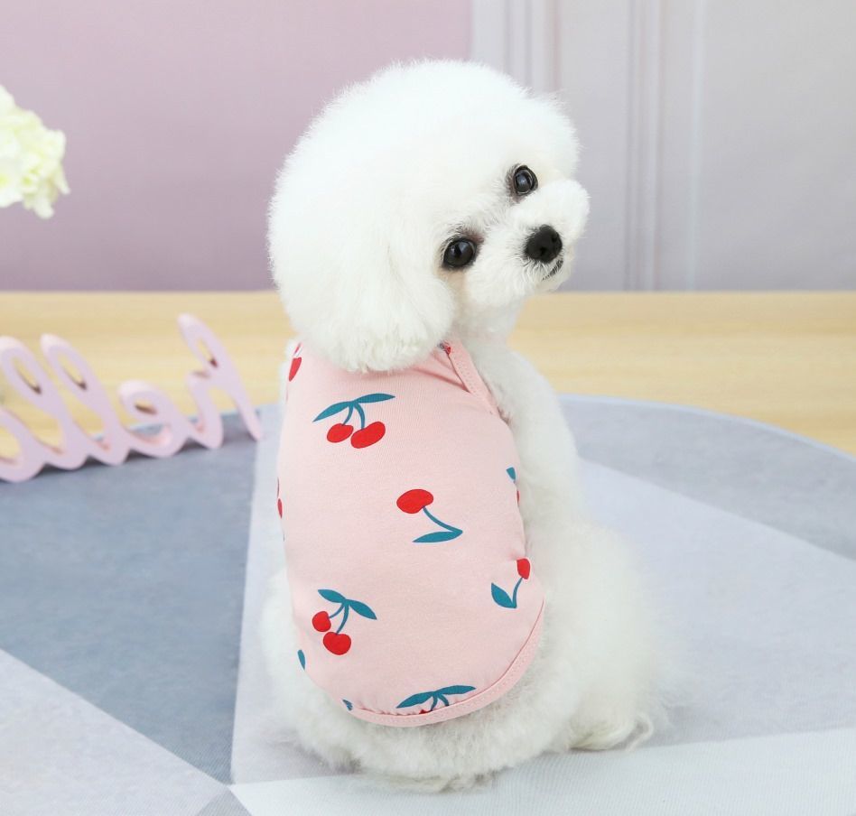 数量限定 送料無料 ペットウェア ドッグウェア 犬用 犬服 ペット用品 キャミソール型 袖なし お散歩 お出掛け かわいい さくらんぼ チェリー フルーツ柄 Whitesforracialequity Org