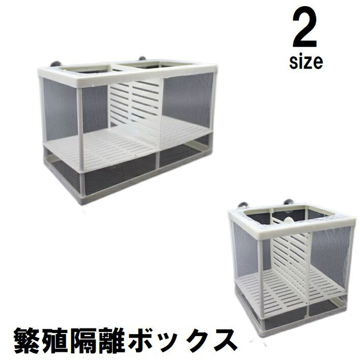 楽天市場】繁殖隔離ボックス 産卵ケース 隔離ケース 隔離箱 吸盤