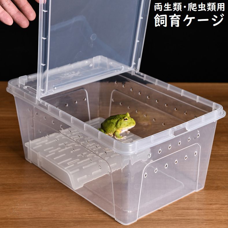 楽天市場】送料無料 飼育ケージ 飼育ケース 両生類用 爬虫類用