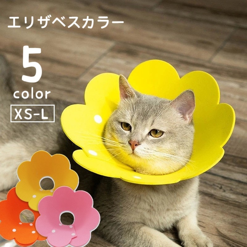楽天市場】送料無料 エリザベスカラー 猫用 犬用 ペット用品 スナップ