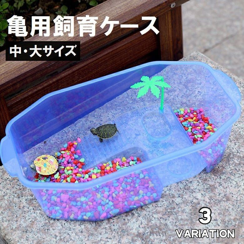 楽天市場】送料無料 亀用飼育ケース 中サイズ 大サイズ ペット