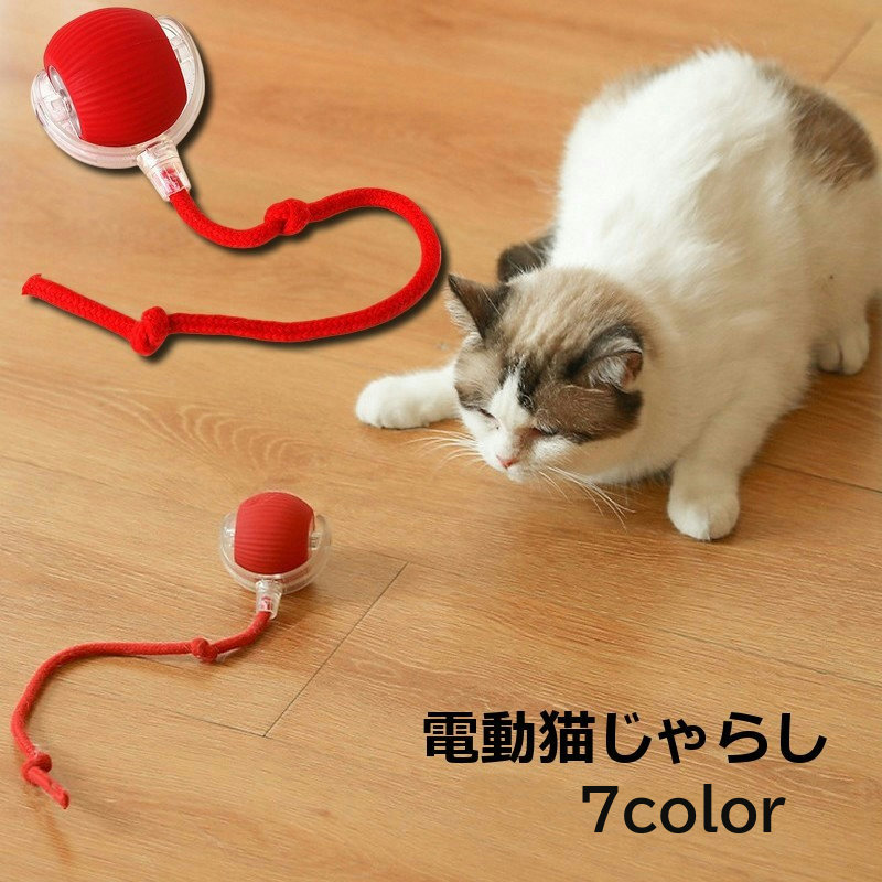 犬用電動自動おもちゃ 動くモーション
