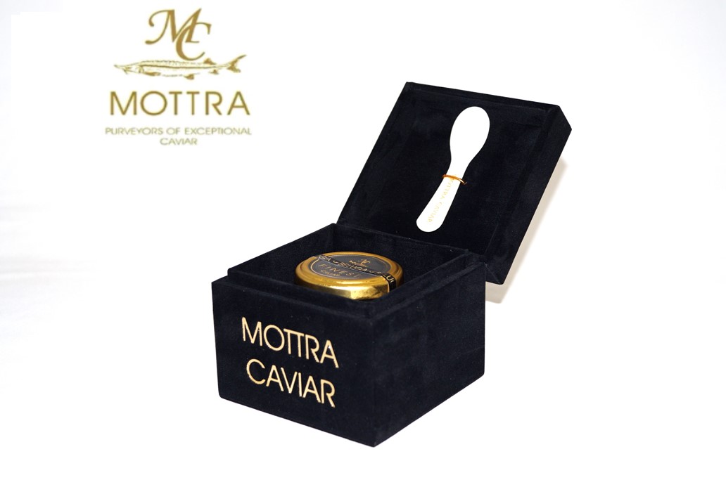 極希少 Mottra監修 最高級ベルーガ キャビア 18gシェルスプーン Gift Boxmottra モトラ ベルーガ Beluga Caviar Alltherightmovies Com
