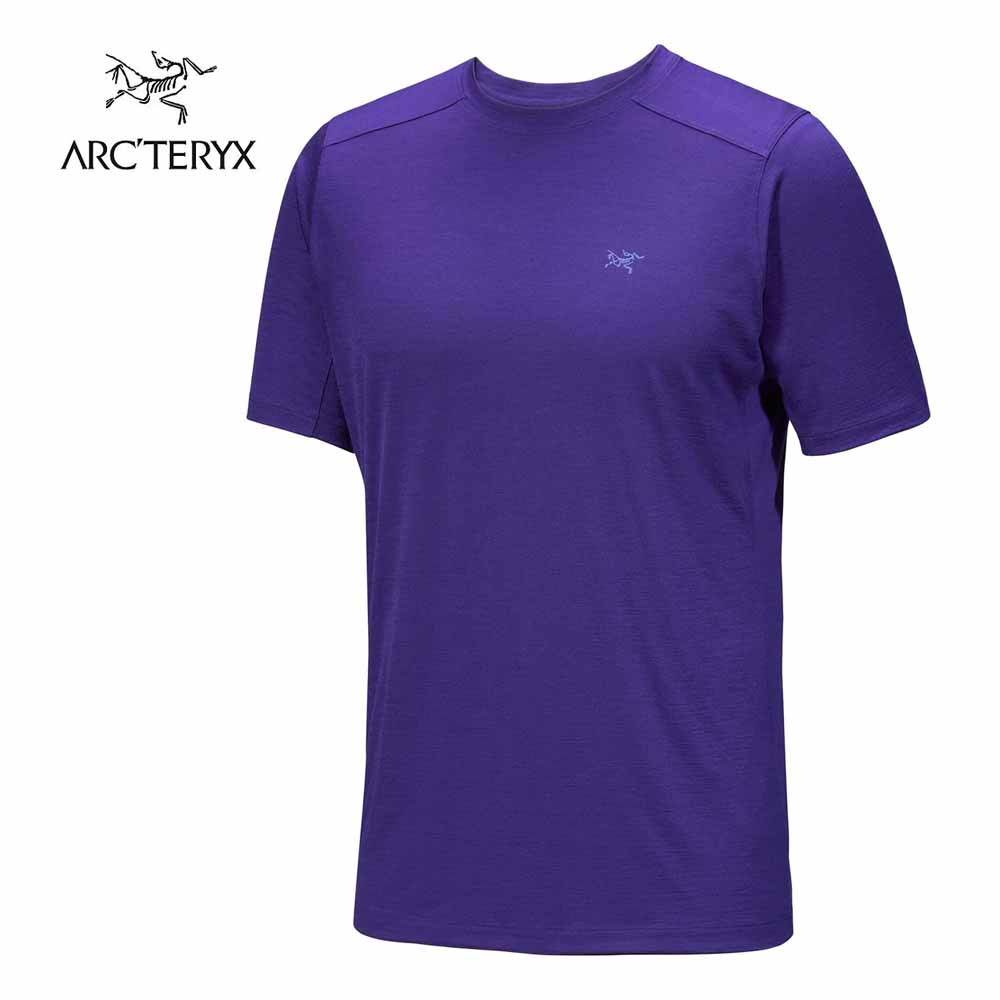 楽天市場】ARC'TERYX イオニア メリノウール アークワード ロゴ