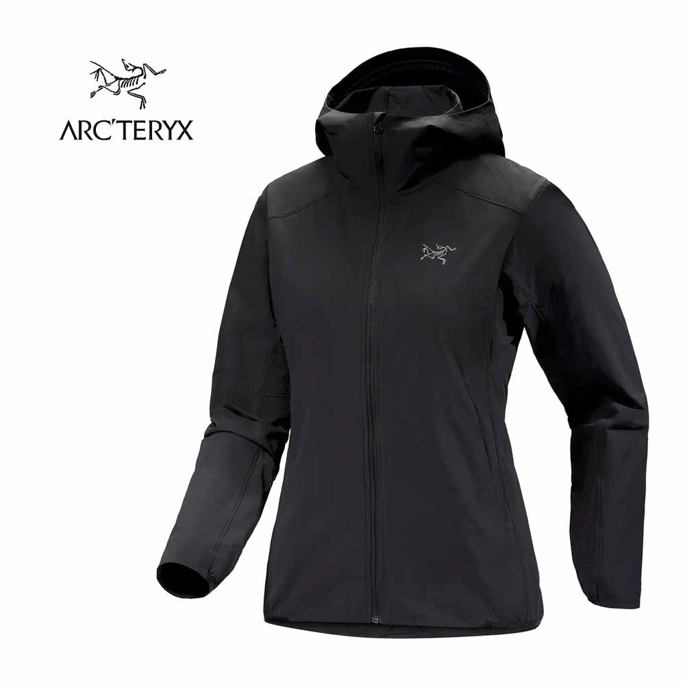 ARC'TERYX GAMMA SL HOODY アークテリクス ガンマ ライト imgrc0076644266.jpg