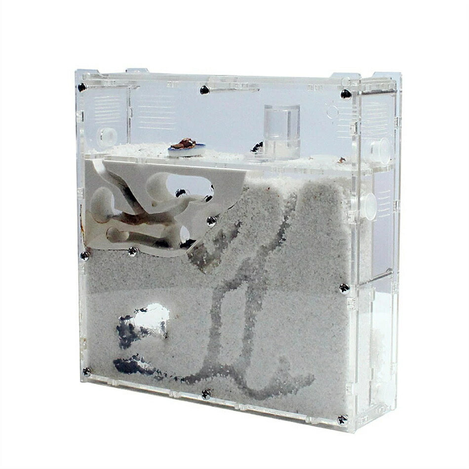 アリ飼育キット 砂巣 爬虫類飼育ケース アリの巣観察キット 科学試験アリ工房の家の生態家屋箱蟻用飼育ケース アリ飼育セット(砂は別売り)