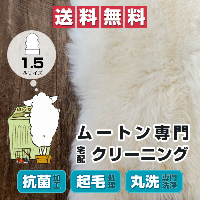 ムートン クリーニング 最大71%OFFクーポン 送料無料 宅配 《１．５匹サイズ》約60ｘ120cm対応 抗菌加工 ラグ ウール 敷物 営業 カーペット