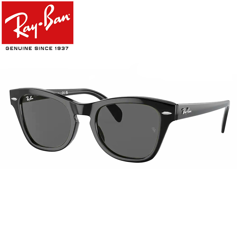 楽天市場】レイバン サングラス 偏光レンズ メガ ウェイ