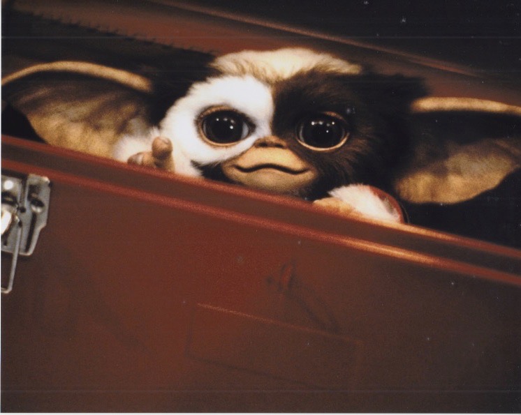 楽天市場】グレムリン GREMLINS 映画ポスター 軽量アルミ製フィット