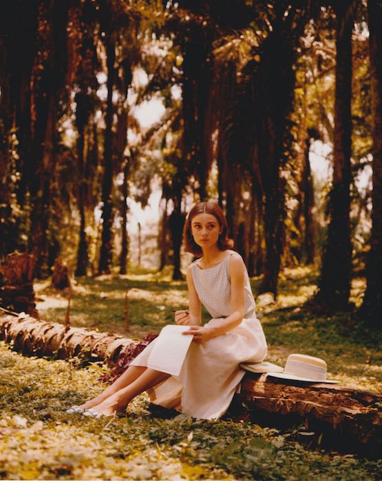 楽天市場】〇【オードリー・ヘプバーン/Audrey Hepburn】『パリ