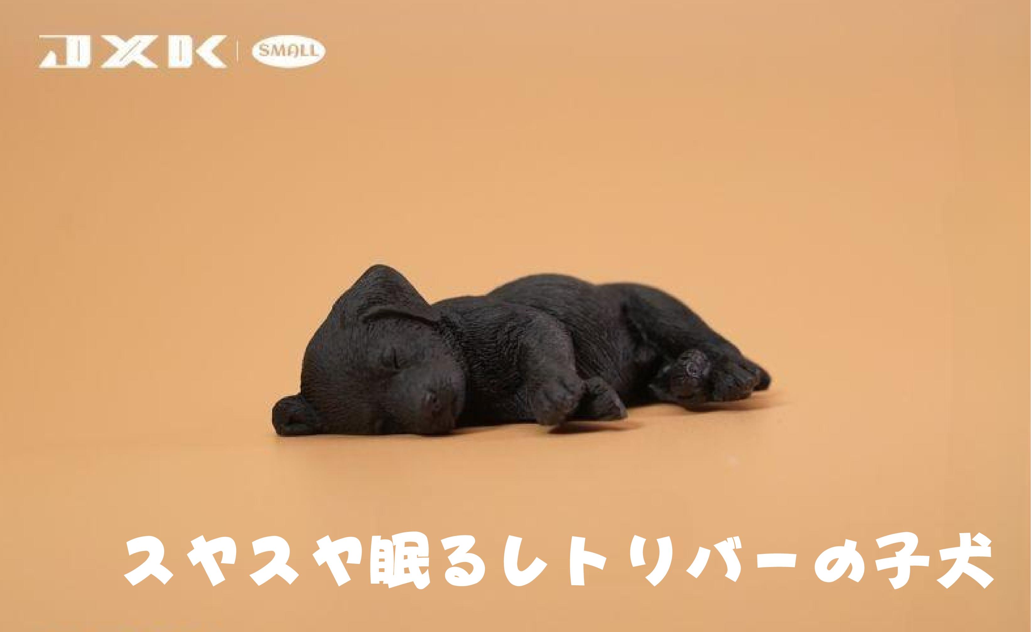 ゾンビ imgrc0070628501.jpg